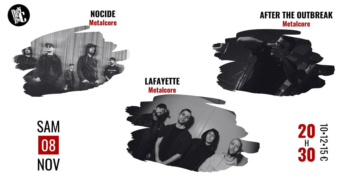 BARBERAZ (73) - BRIN DE ZINC